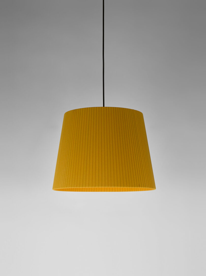 Dahlagenturer - Sísísí Cónicas