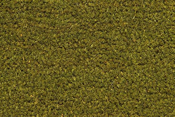 Dahl Agenturer - Kokosborst - K13 green