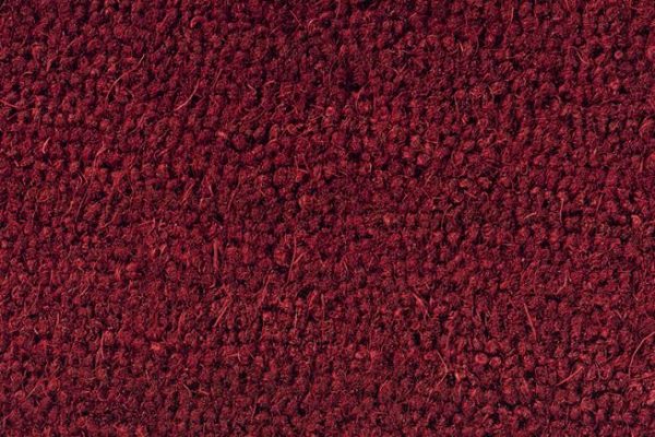 Dahl Agenturer - Kokosborst - K16 red