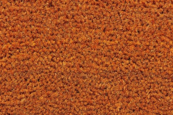 Dahl Agenturer - Kokosborst - K18 corn
