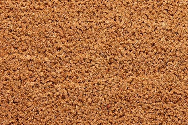 Dahl Agenturer - Kokosborst - K19 natural