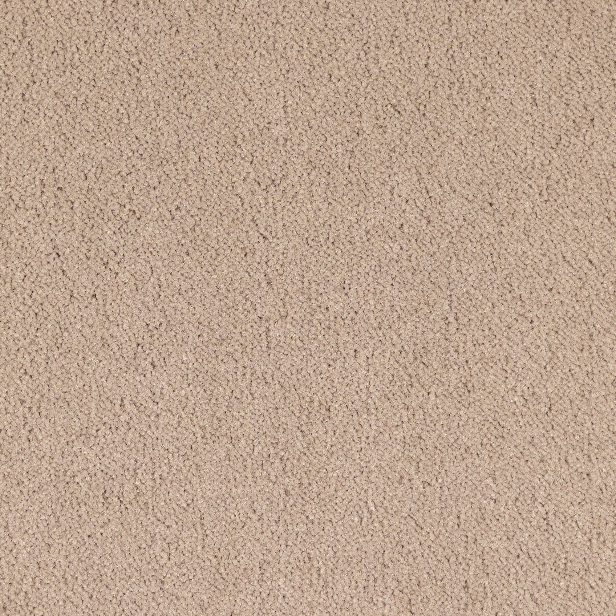 Dahl Agenturer - Plain Velvet - 830