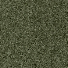 Dahl Agenturer - Fine Westex Twist - Ombersley olive